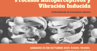 Seminario de Procesos Autoperceptivos y Vibración Inducida