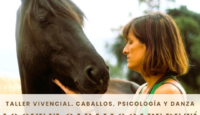 Lo que el caballo sabe de ti. Taller vivencial: caballos, psicología y danza. 2ª Edicion