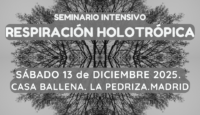 Seminario de Respiración Holotrópica