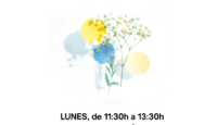 Grupo de Terapia. Mañanas