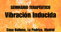 Seminario de Vibración Inducida