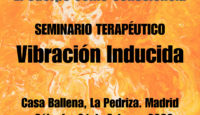 Seminario de Vibración Inducida